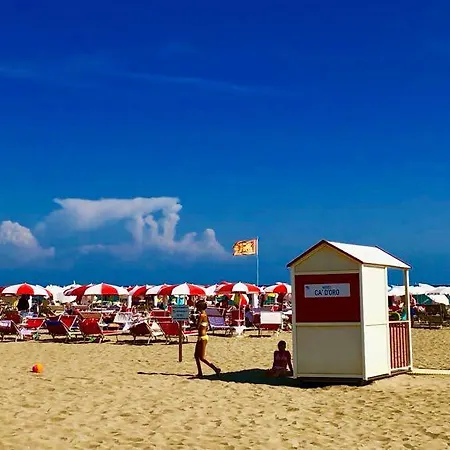 Ca' D'oro Hotel 3*